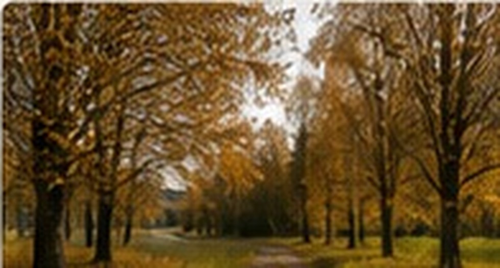 Höst i Klarälvsbyn