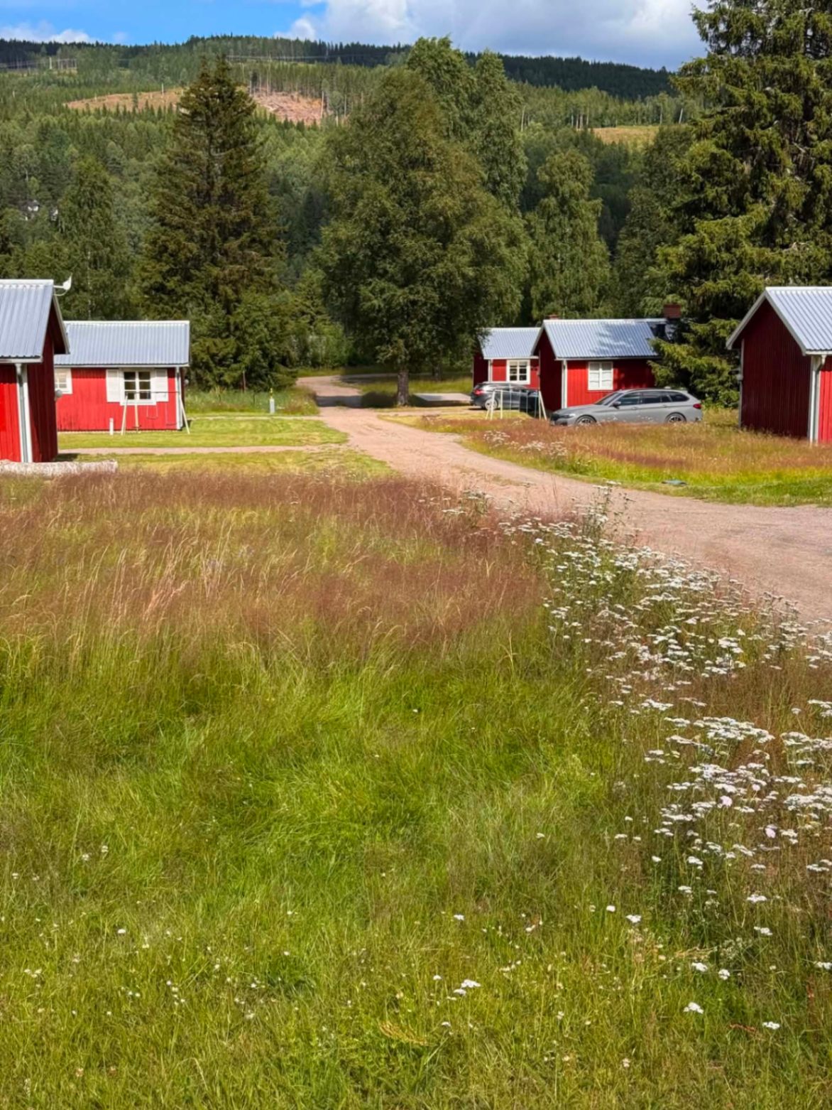 Vår i Klarälvsbyn